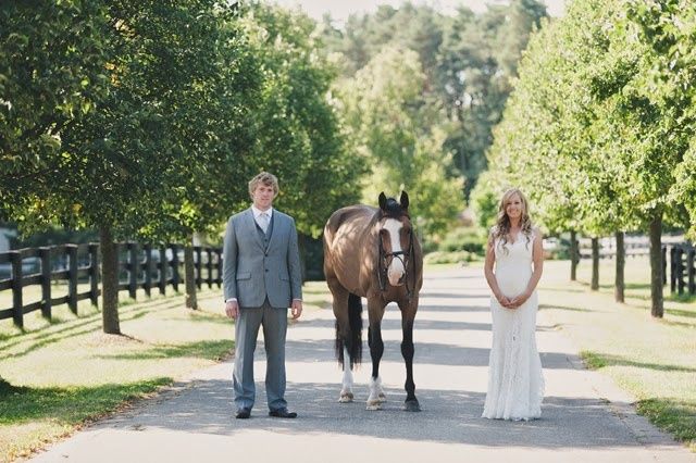 La ternura de los caballos en el matrimonio