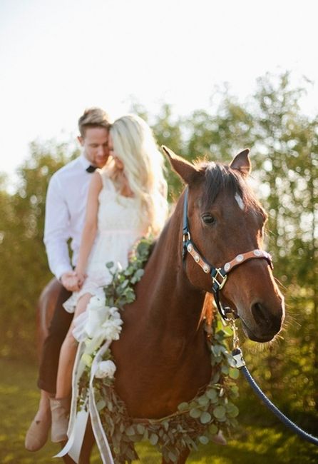 La ternura de los caballos en el matrimonio