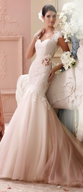 Increíbles vestidos de David Tutera 2015 - Parte 1