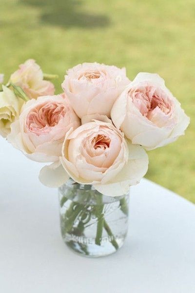 5 flores para tu matrimonio de cuento de hadas 1