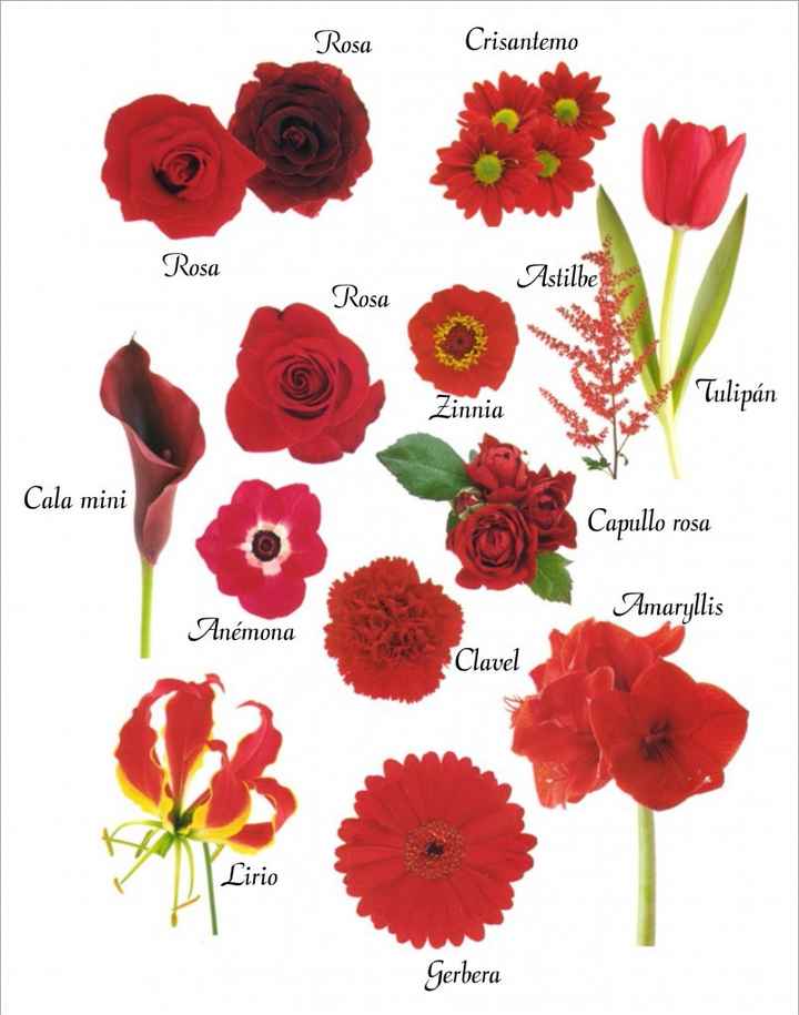 Tipos de flores rojas para tu gran día