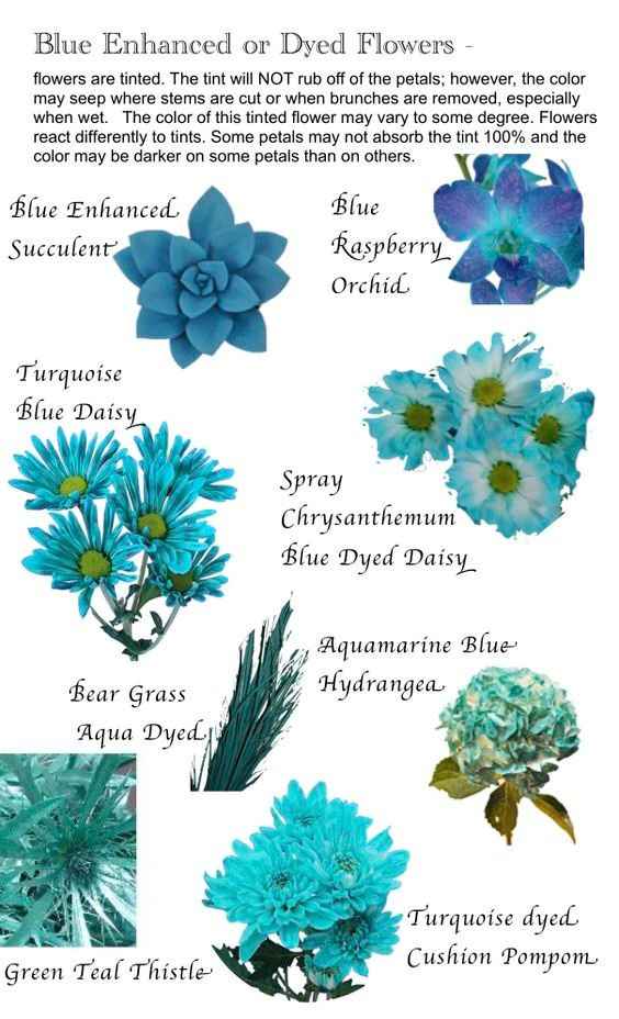 Tipos de flores Azules para tu gd