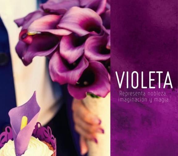 2. Violeta.