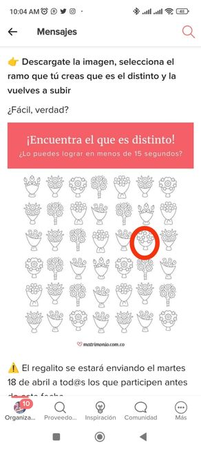 ¡Encuentra el ramo distinto y llévate un regalito para tu matrimonio! 🎁 8