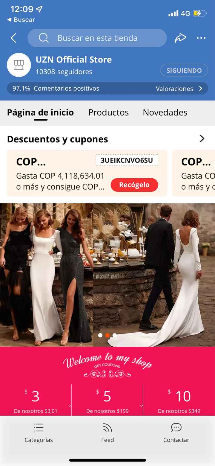 Modista de vestidos de novia - 1