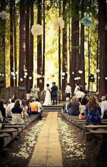 mi boda en el bosque...