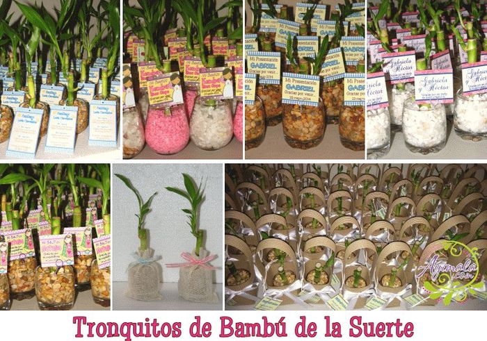 recordatorio bambu