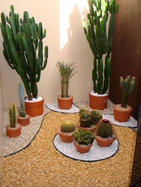 Decoracion cactus 2