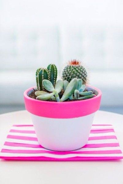 Decoracion cactus 8