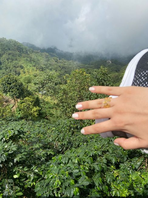 Cuéntanos... ¿Cómo fue tu pedida de mano? 4