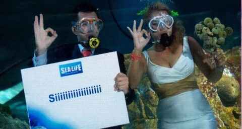 Operación la sirenita: vestidos bajo del agua..!! - 14
