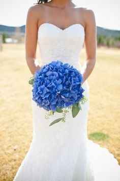 Hortensias Azules
