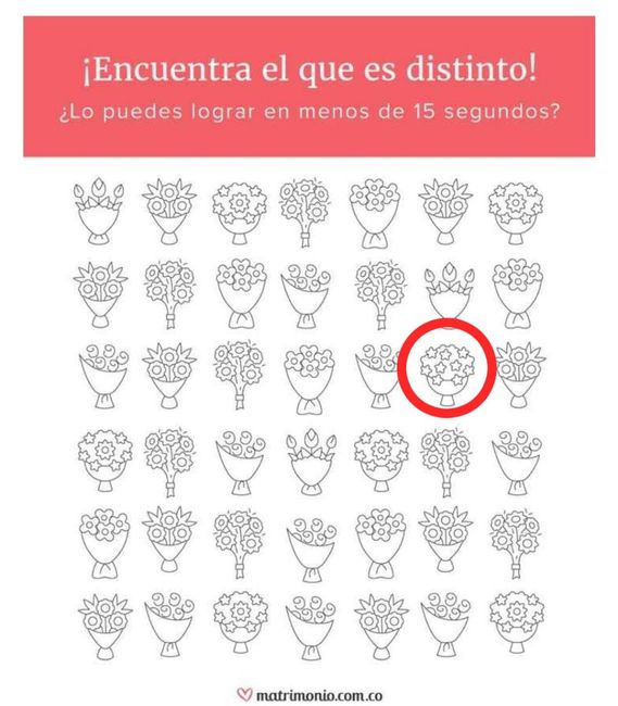 ¡Encuentra el ramo distinto y llévate un regalito para tu matrimonio! 🎁 6