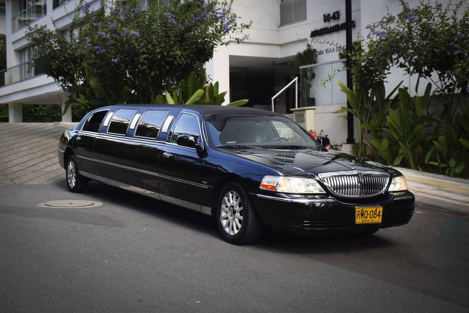 Limo1