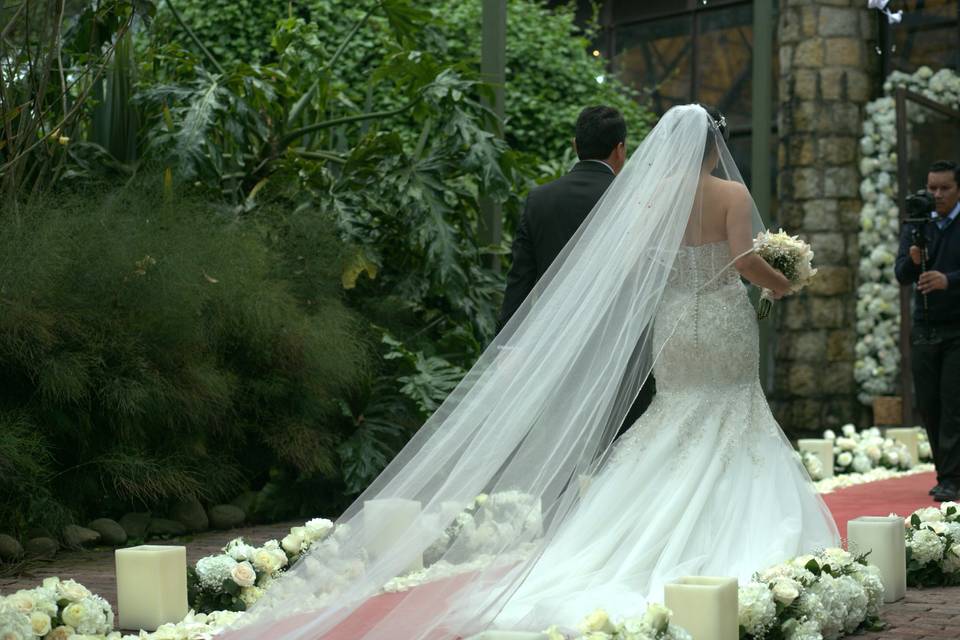 Boda Mary y Leo