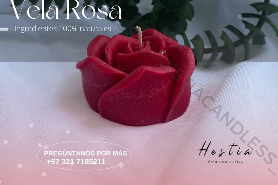 Referencoa Vela 116 (flor)