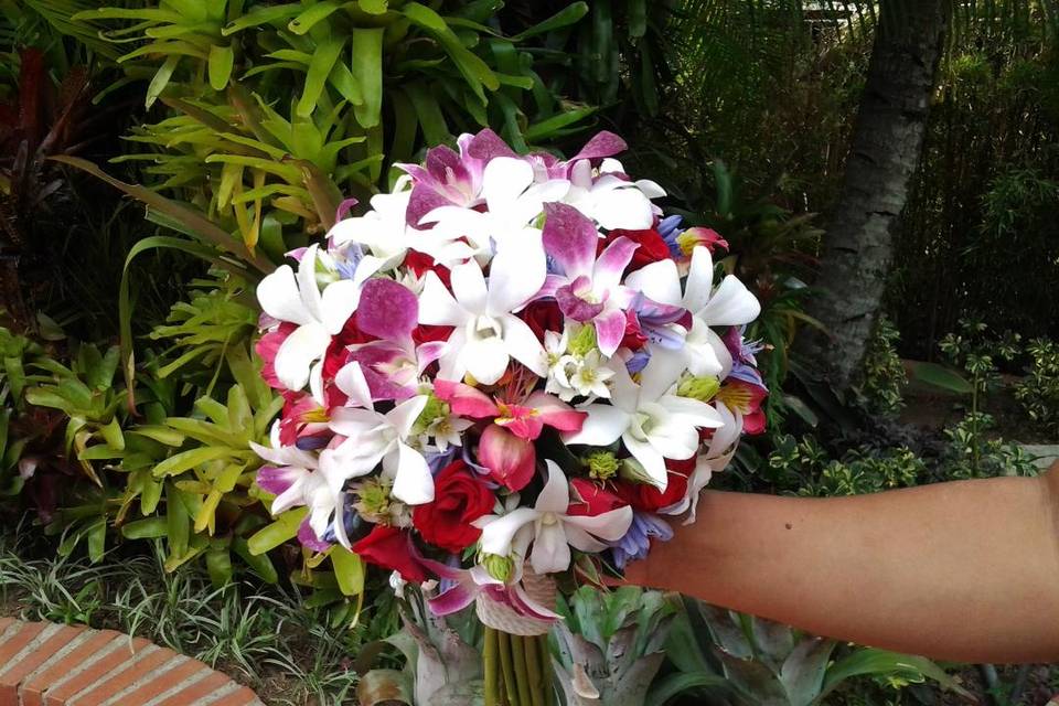 Bouquet de dendrobios