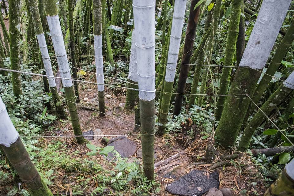 Sendero ecológico