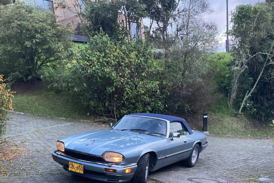 Jaguar XJS