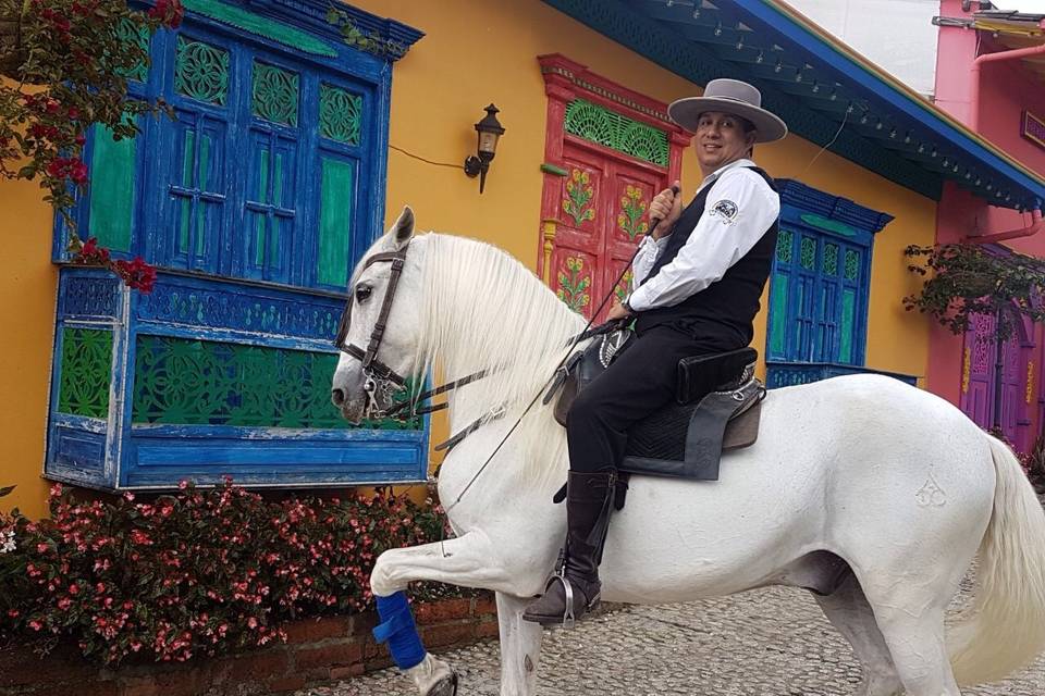 Show de caballo español