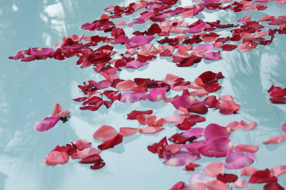 Boda en piscina