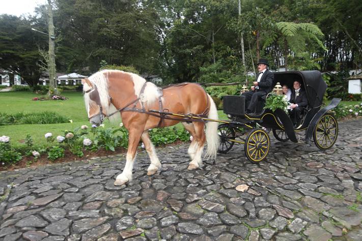 Carro de caballos