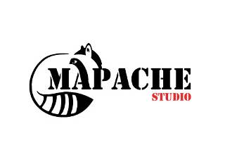 Mapache Studio
