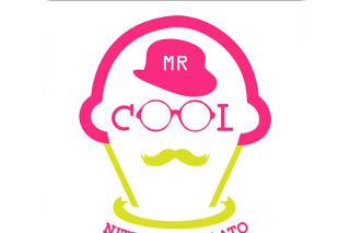 Mr cool nitrogen gelato