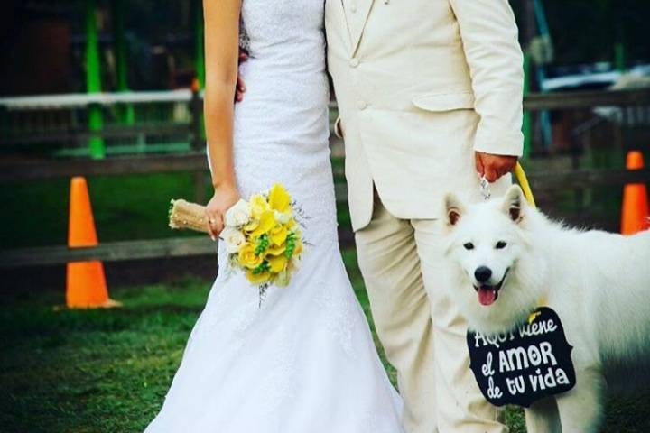 Los novios