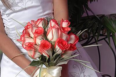 Yugo en rosas