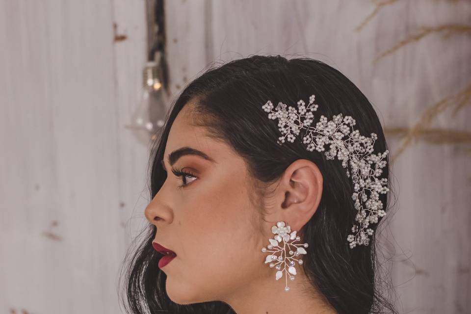 Novia clásica( toque elegante)