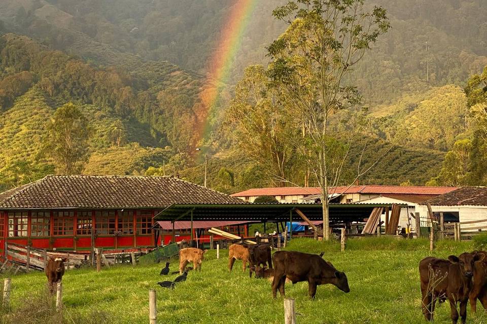 Pino Hermoso Ecohotel