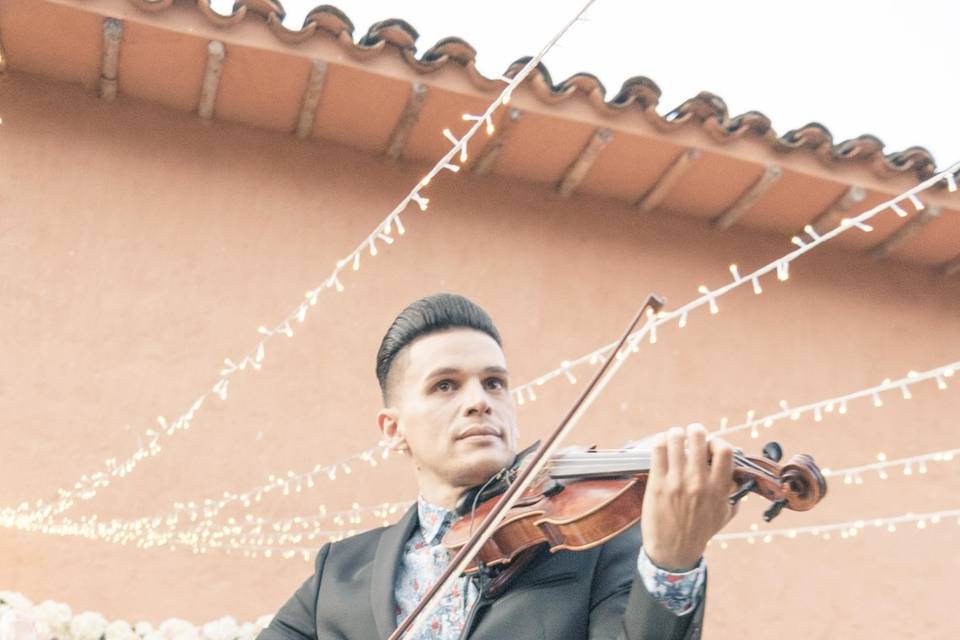 Show violín