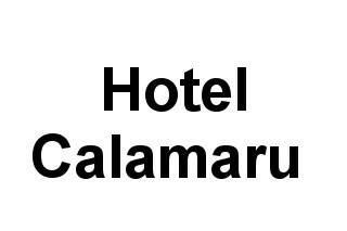 Hotel Calamaru