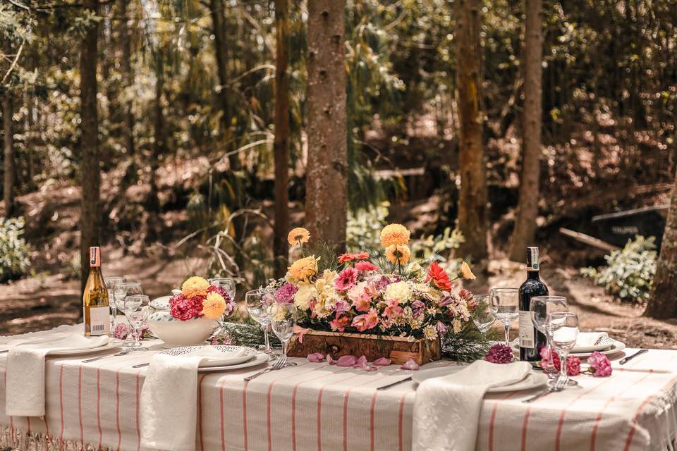 Boda - fotografía