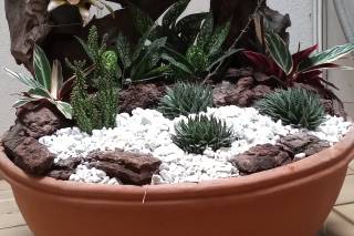 Vivero Altagracia