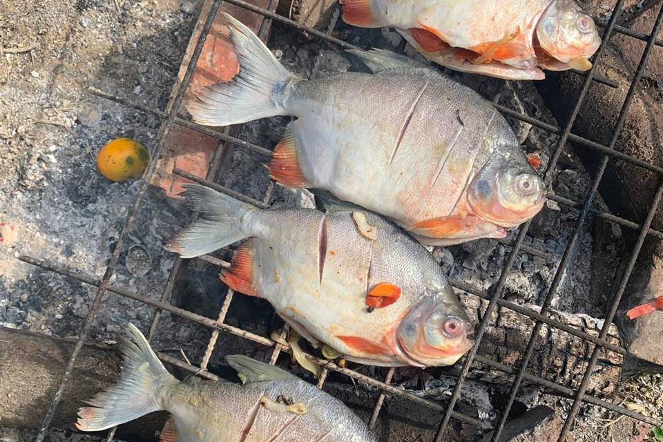 Delicias a la parrilla
