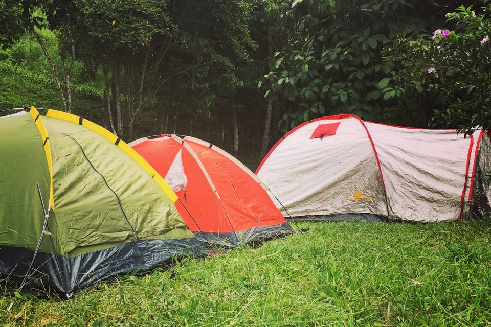 Camping