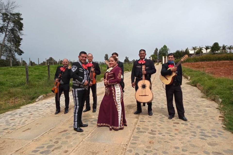 Mariachi Rey Mexican