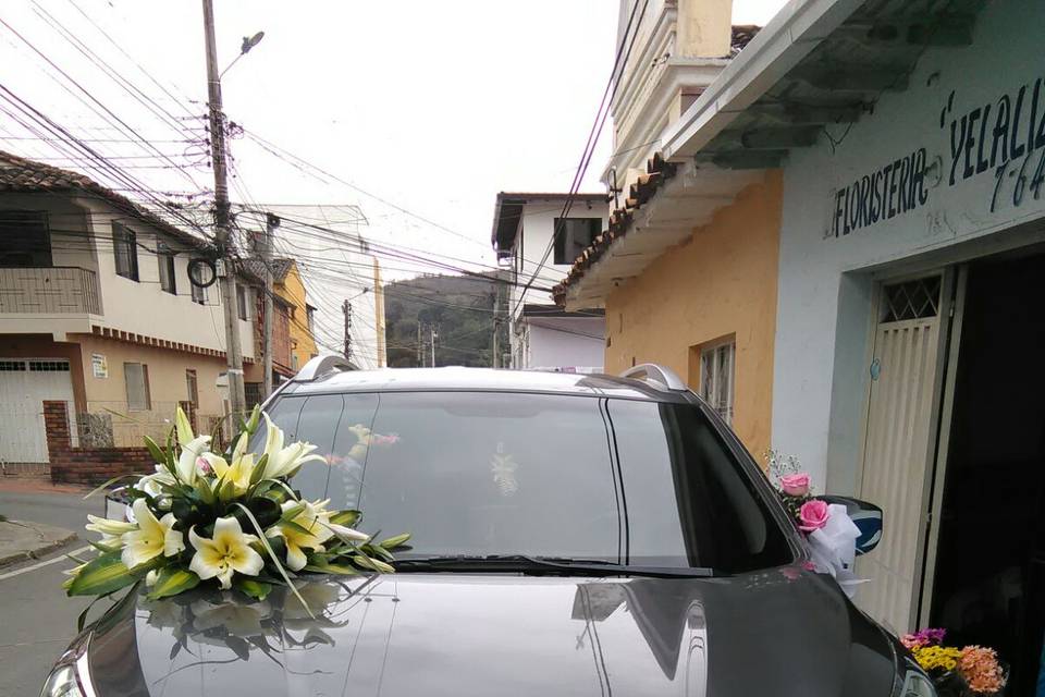 Carro
