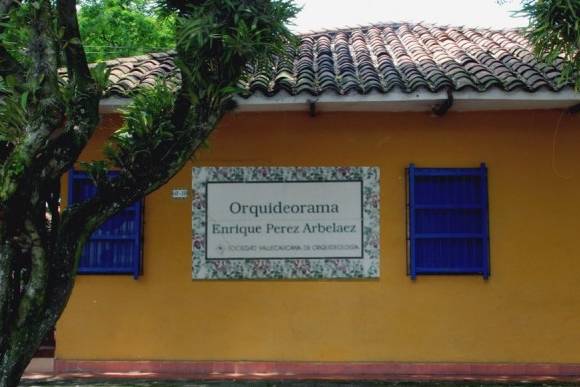 Orquideorama