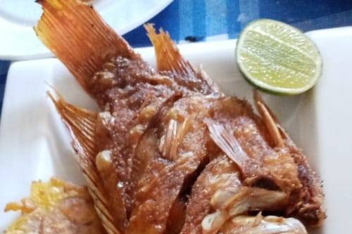 Mojarra Frita