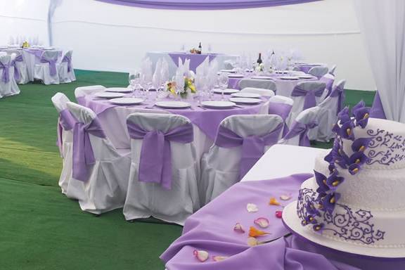 Salon violeta