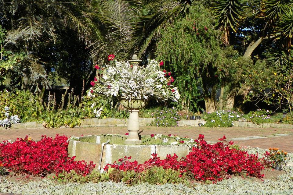 Fuente roja