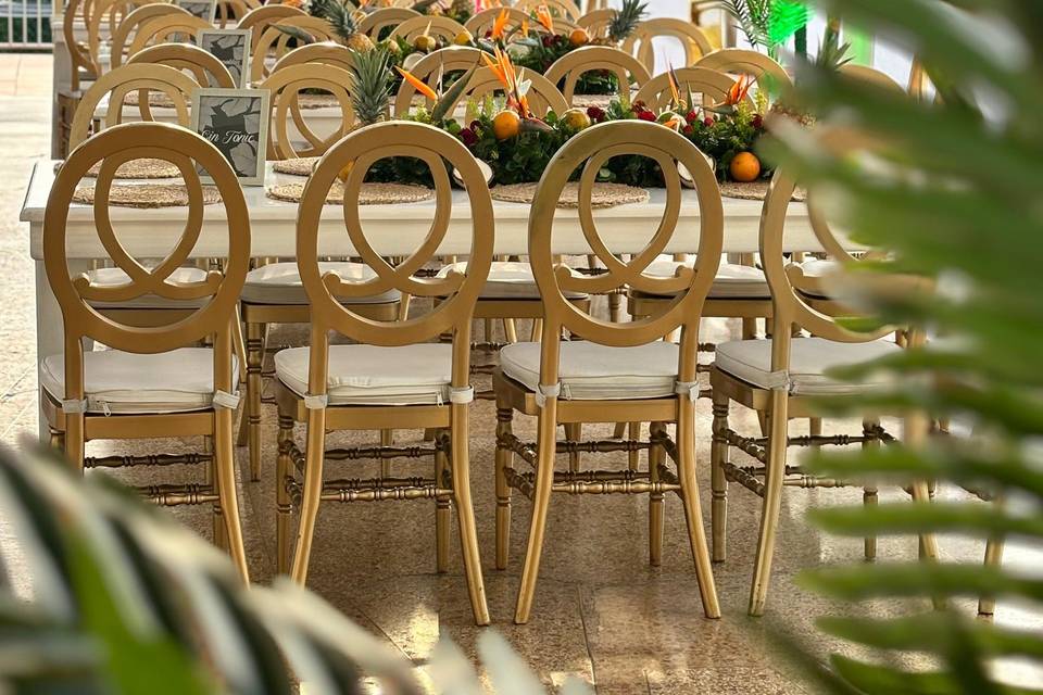 Fiesta tropical