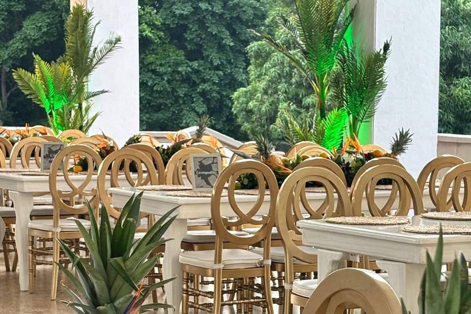 Fiesta tropical