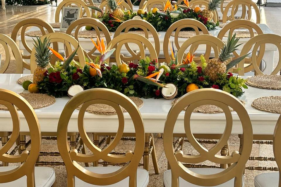 Fiesta tropical