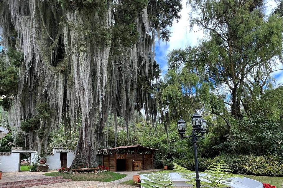 Hacienda La Armenia - Sopó