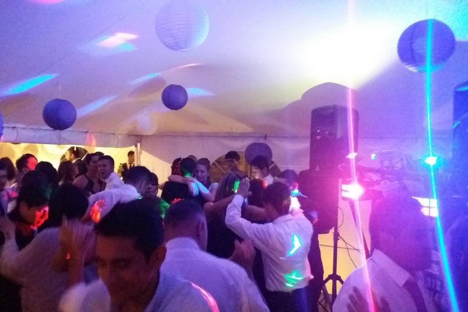 Todos los géneros musicales