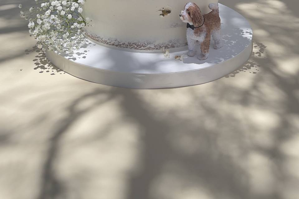 Torta seminaked con flores